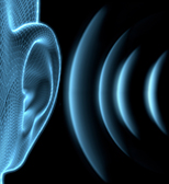 Acoustics & Vibration